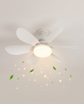 LED Ceiling Fan