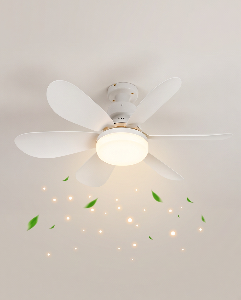 LED Ceiling Fan