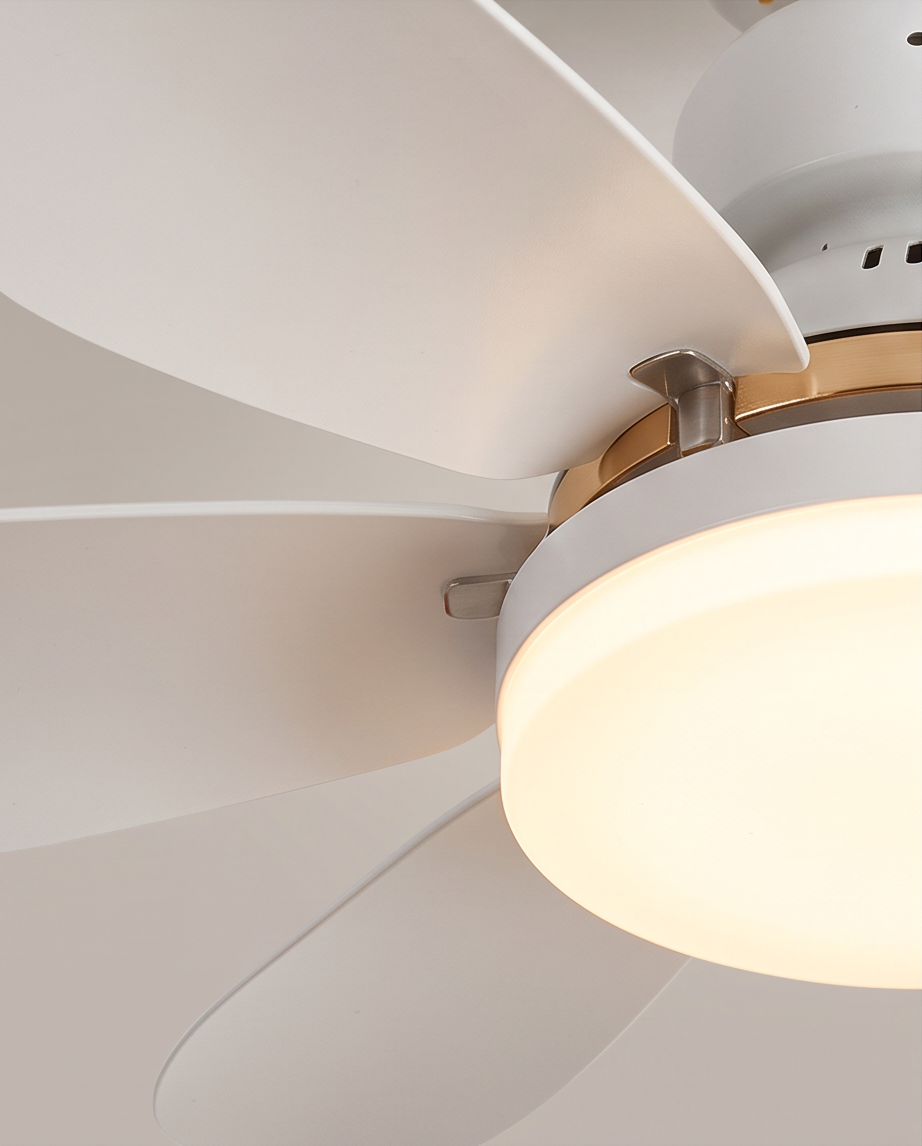 LED Ceiling Fan