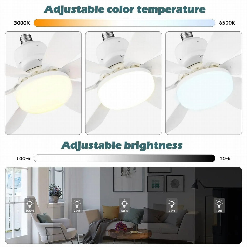 alishop:f0cc7fbe6659